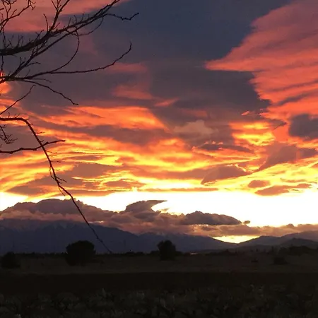 Mas Soleil Et Vignes Saint-Hippolyte (Pyrenees-Orientales)