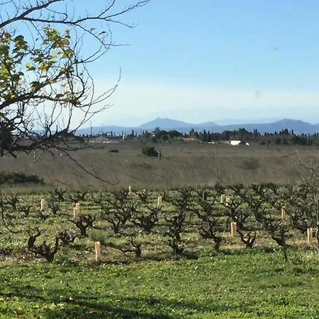 Mas Soleil Et Vignes Bed and Breakfast